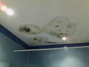 infiltracoes de agua